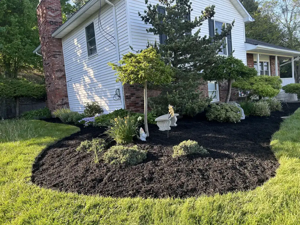 Newly mulched garden beds with established trees and shrubs