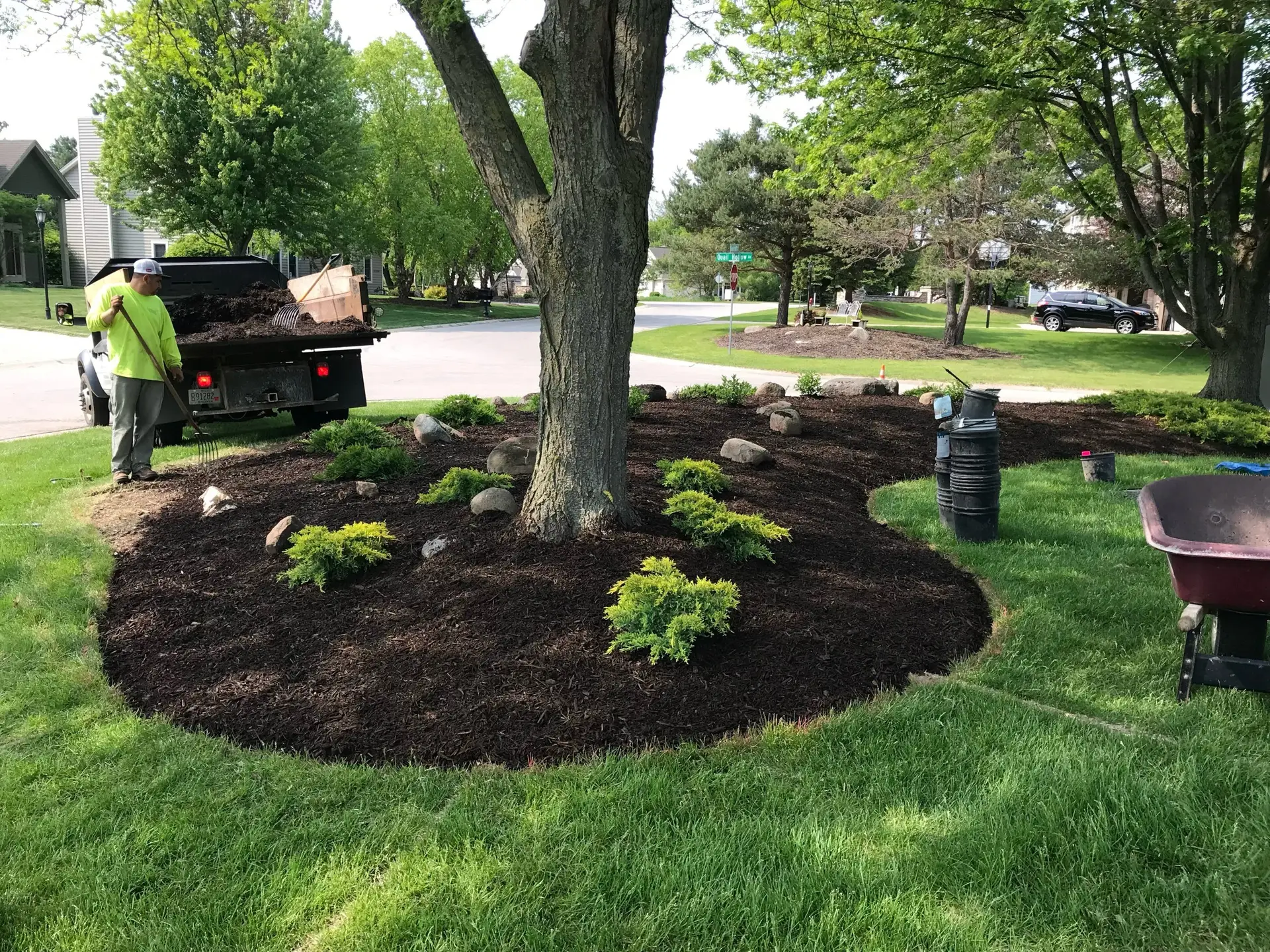 Mulched tree bed with new plants during landscaping work